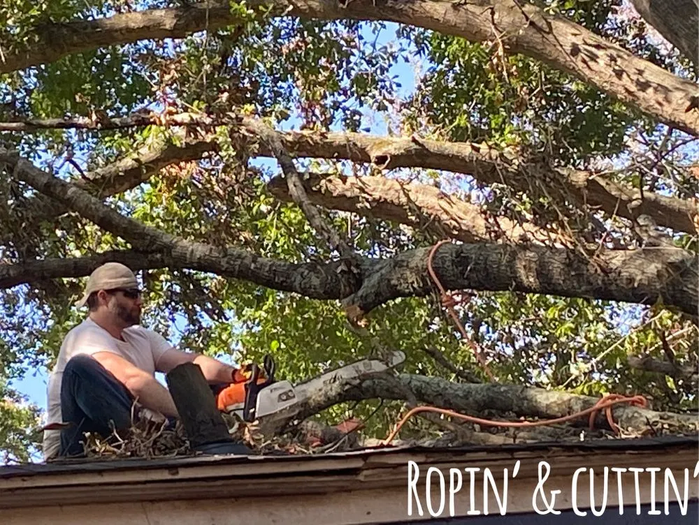 Local lawn mowing service in West Monroe, LA by Forest Tree & Landscape Service