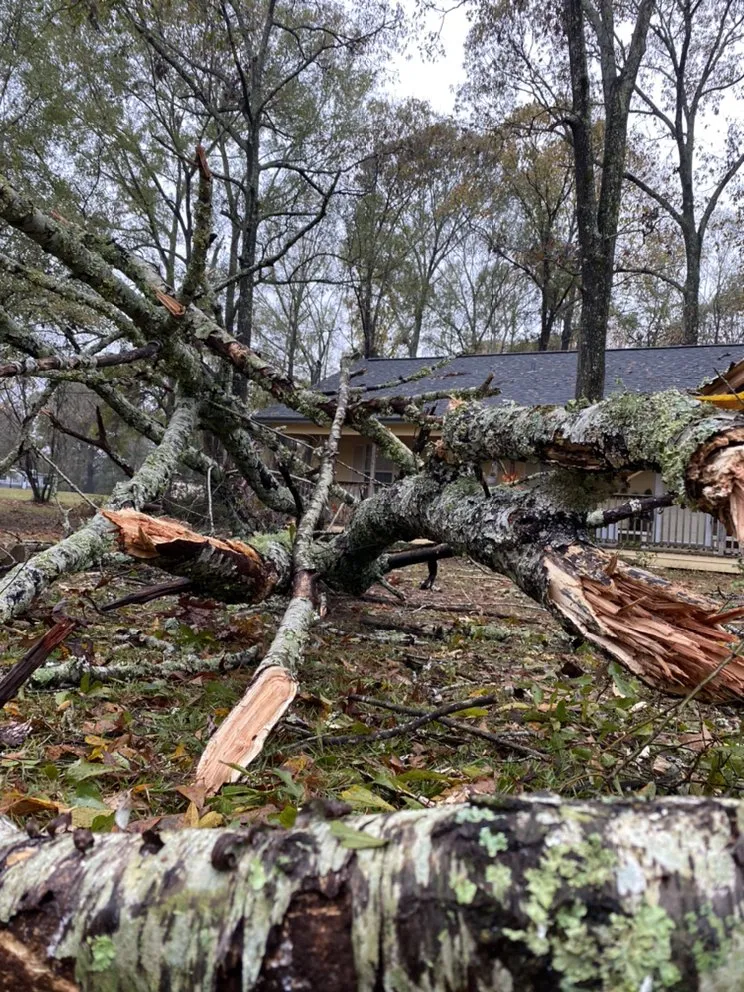 Top-rated landscape design for outdoor upgrades in West Monroe, LA by Forest Tree & Landscape Service