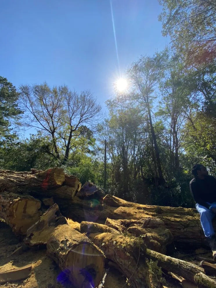 Local residential landscaping in West Monroe, LA by Forest Tree & Landscape Service