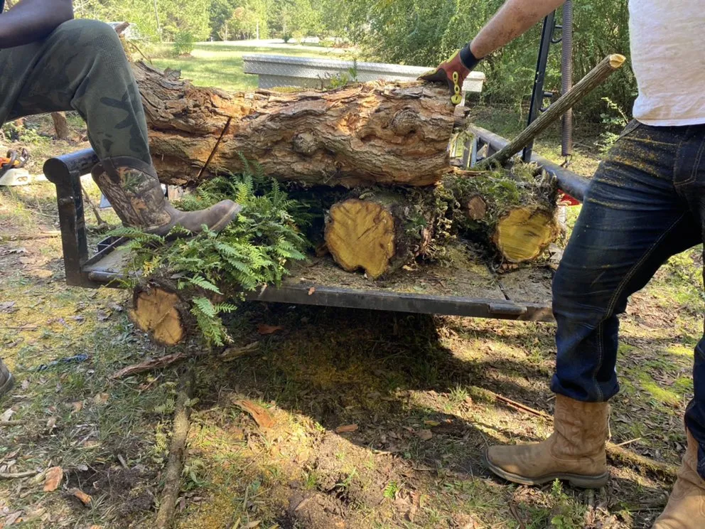 Trusted lawn mowing service in West Monroe, LA by Forest Tree & Landscape Service