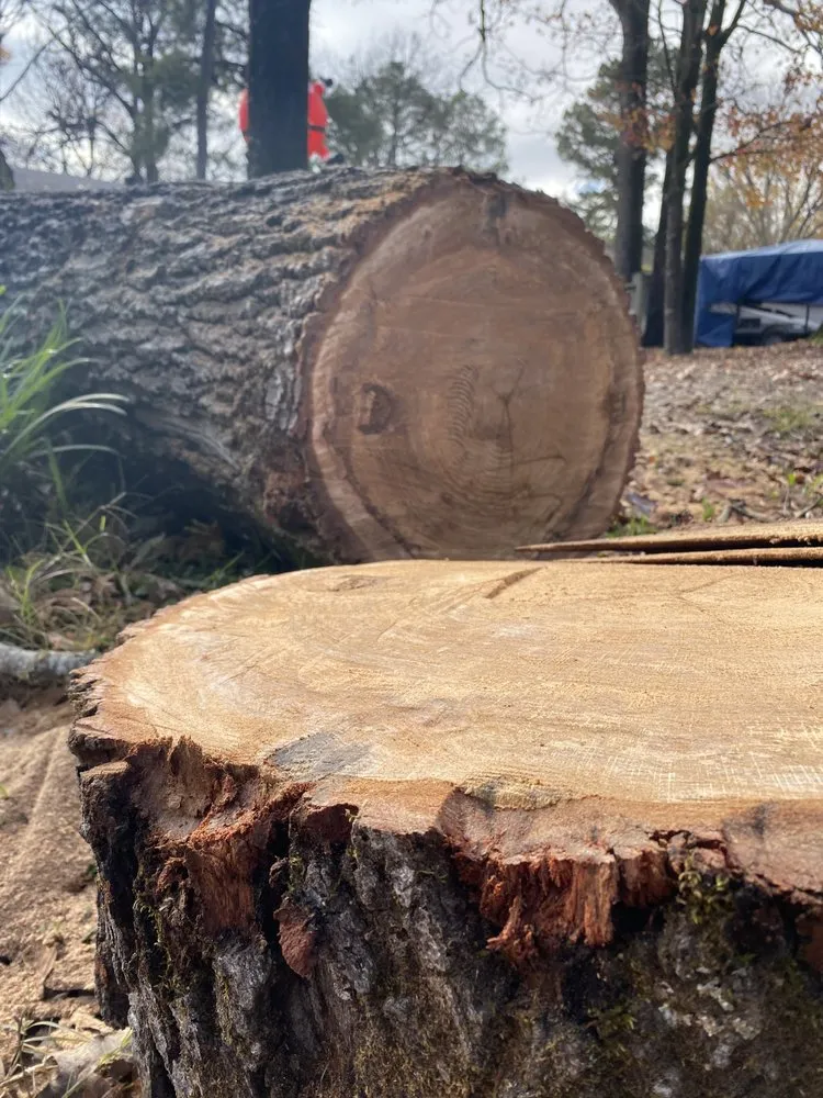 Expert garden landscaping in West Monroe, LA by Forest Tree & Landscape Service