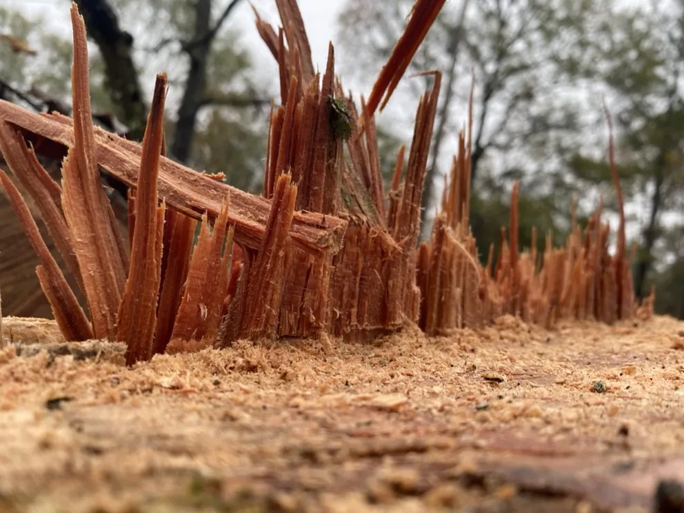 Expert garden landscaping in West Monroe, LA by Forest Tree & Landscape Service