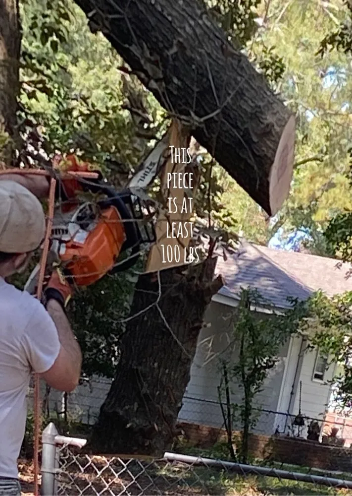 Affordable landscape installation in West Monroe, LA - Forest Tree & Landscape Service