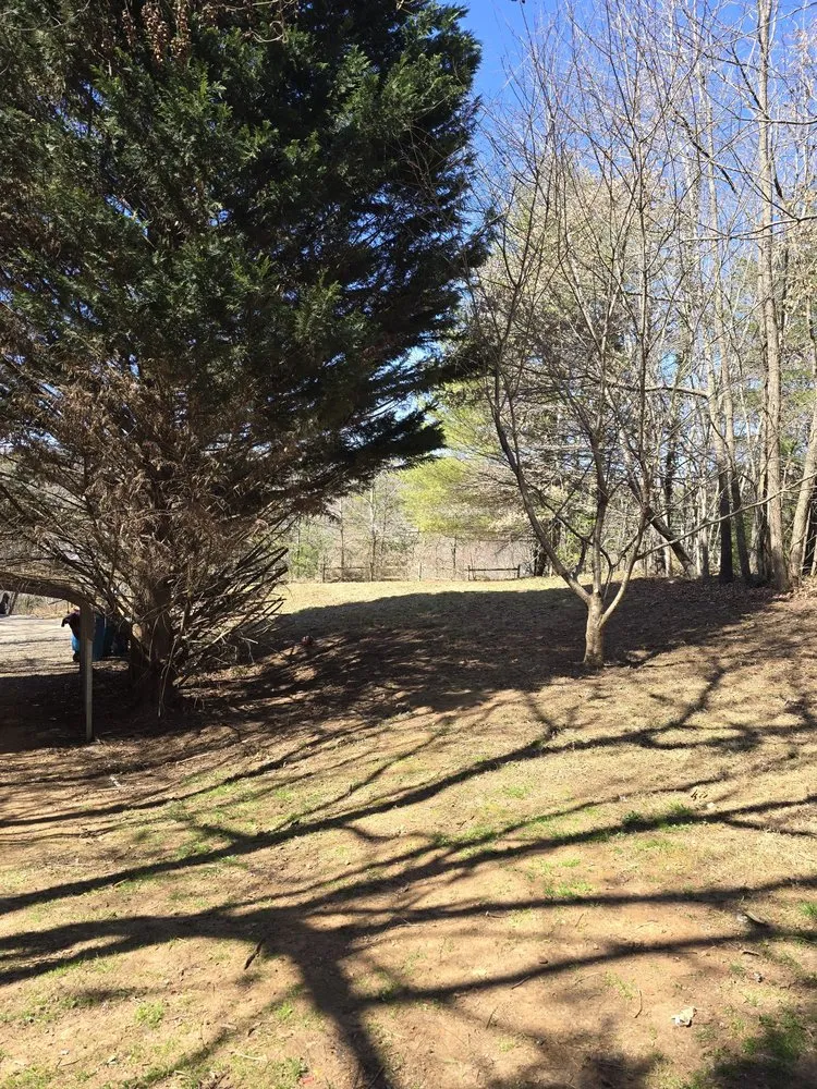 Trusted landscaping services in Candler, NC - Forest Tree And Landscaping Services