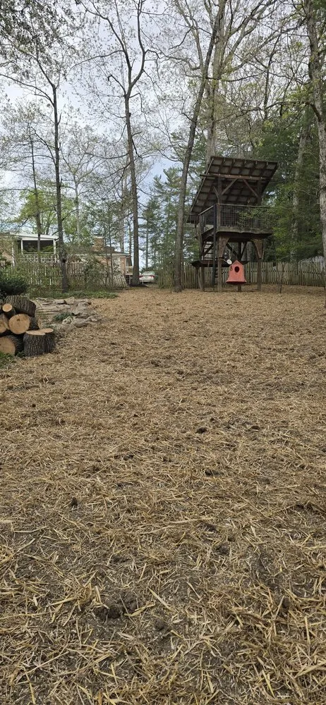 Reliable yard maintenance in Candler, NC by Forest Tree And Landscaping Services