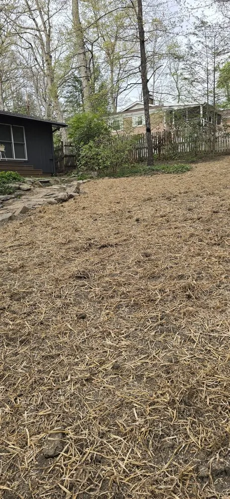 Top-rated residential landscaping near you across Candler, NC - Forest Tree And Landscaping Services