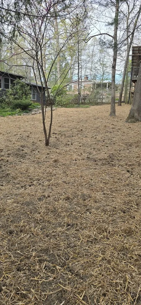 Custom garden landscaping in Candler, NC - Forest Tree And Landscaping Services