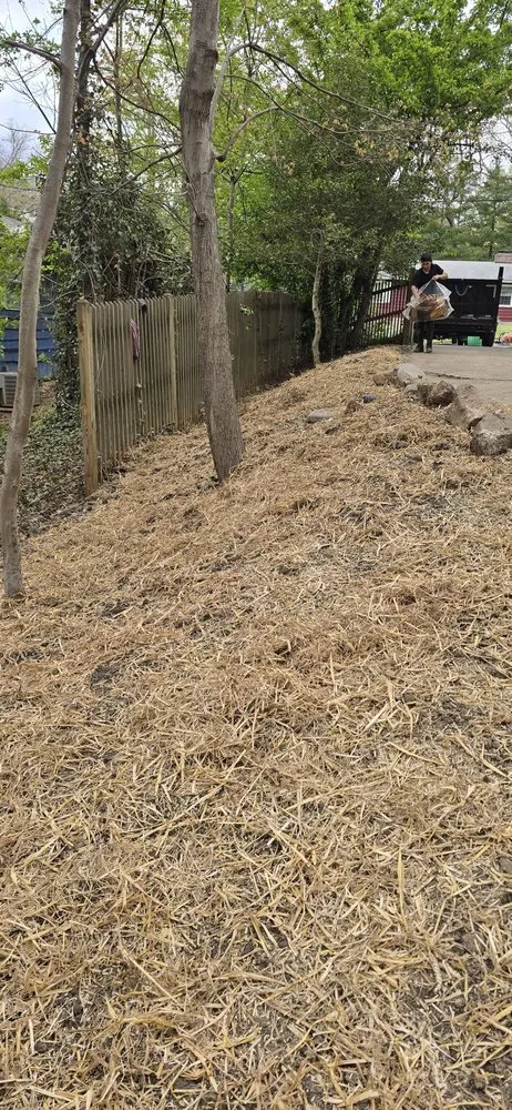 Professional lawn mowing service in Candler, NC by Forest Tree And Landscaping Services