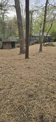 Forest Tree And Landscaping Services Logo