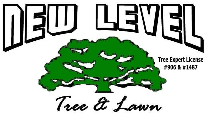 Top-rated lawn care service for homes in Jessup, MD by Forest Valley Tree & Turf