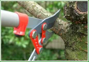 Professional lawn mowing service experts serving Memphis, TN - Forest Wind Landscaping