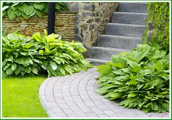 Affordable lawn care service with custom design in Memphis, TN by Forest Wind Landscaping