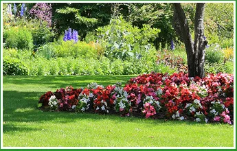 Reliable outdoor landscaping for homes in Memphis, TN by Forest Wind Landscaping