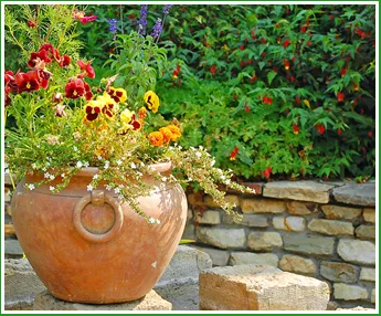 Professional lawn mowing service for outdoor upgrades in Memphis, TN by Forest Wind Landscaping