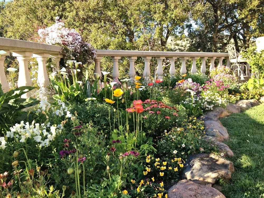 Professional landscape installation with custom design in Mill Valley, CA by Forester Landscaping