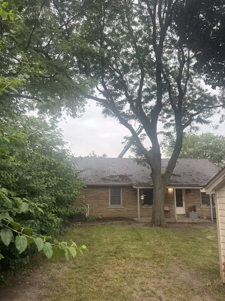 Professional landscape design experts serving Milwaukee, WI - Forester Tree Service