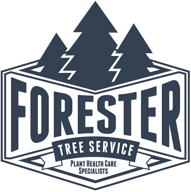 Reliable residential landscaping for beautiful yards across Milwaukee, WI - Forester Tree Service