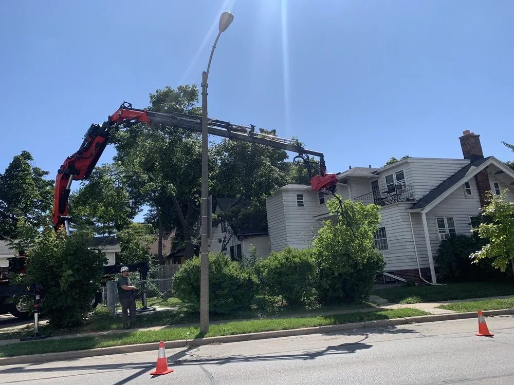 Professional landscape installation experts serving Milwaukee, WI - Forester Tree Service