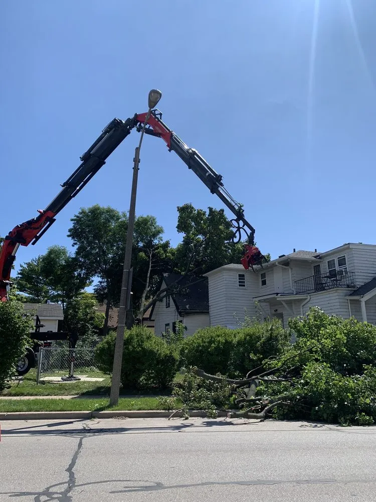 Reliable garden landscaping in Milwaukee, WI by Forester Tree Service