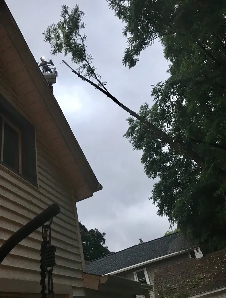 Trusted lawn care service in Milwaukee, WI by Forester Tree Service