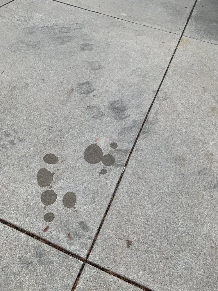 Expert lawn care service in Milwaukee, WI by Forester Tree Service