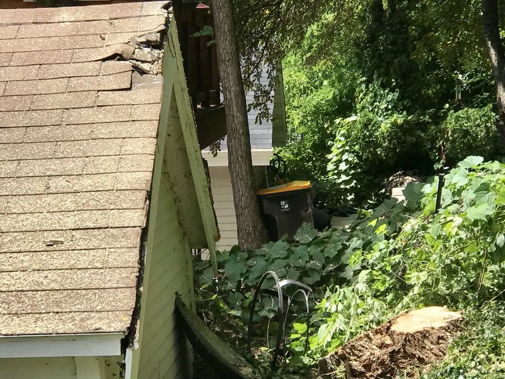 Top-rated landscaping services for homes across Milwaukee, WI - Forester Tree Service