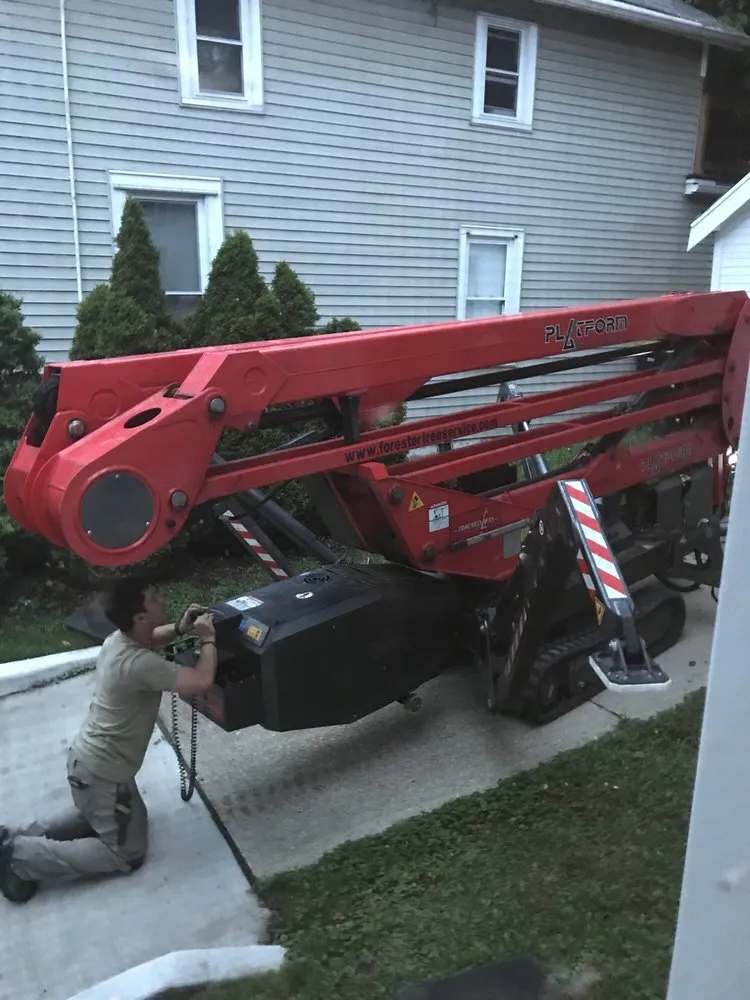 Reliable yard cleanup service in Milwaukee, WI - Forester Tree Service