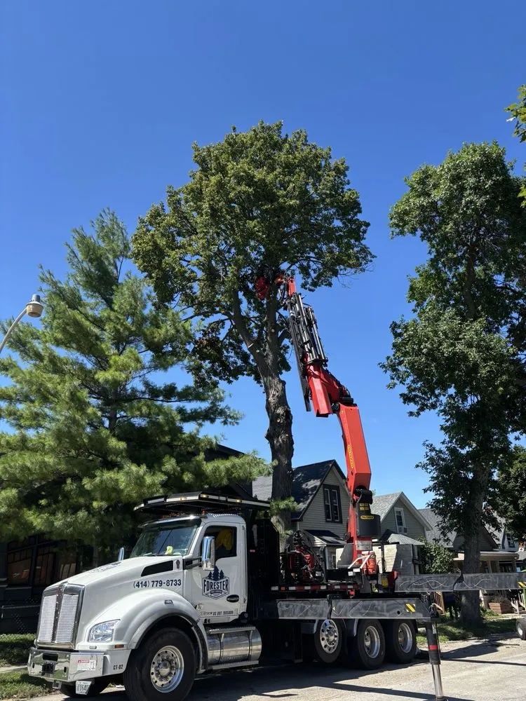 Custom lawn mowing service for residential properties in Milwaukee, WI by Forester Tree Service