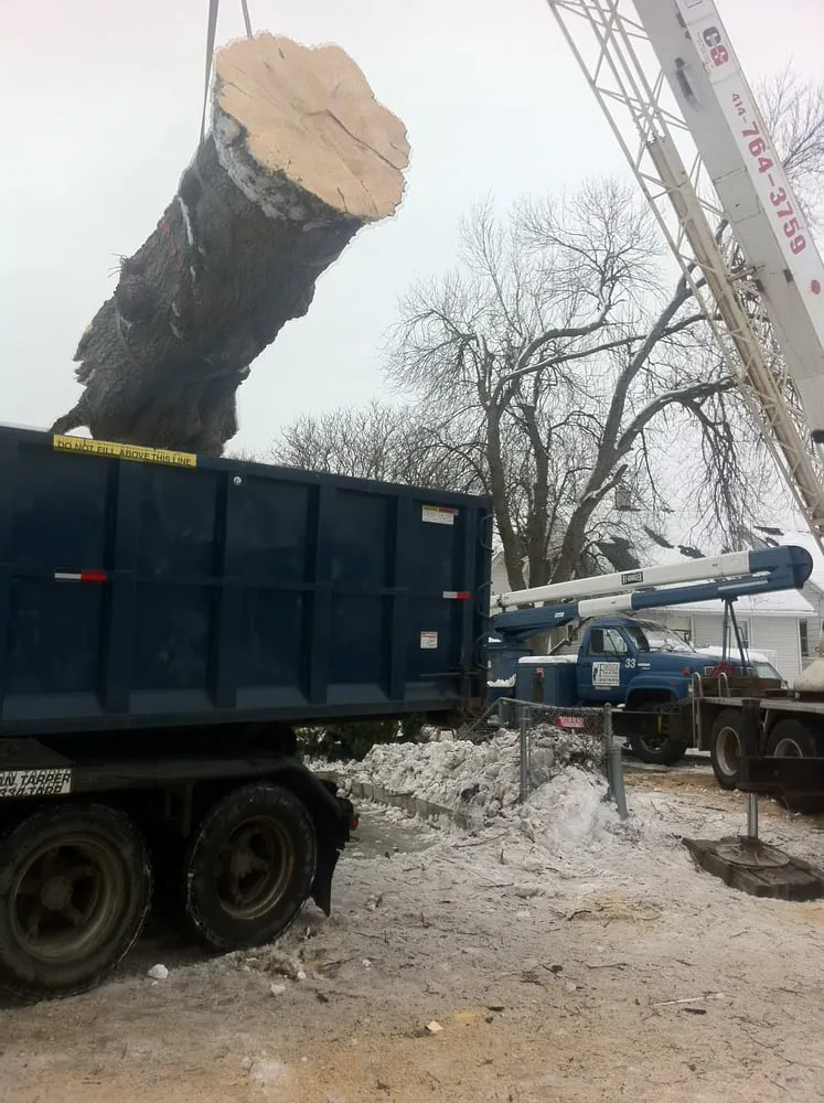 Expert garden landscaping in Milwaukee, WI by Forester Tree Service