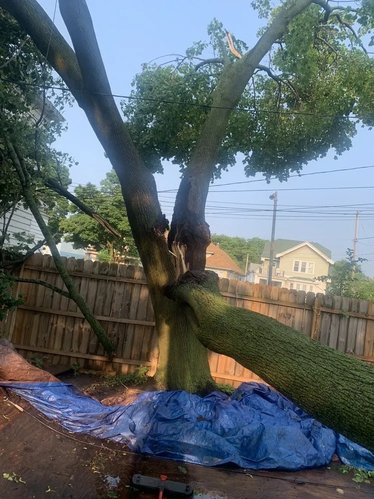 Custom landscape installation in Milwaukee, WI - Forester Tree Service