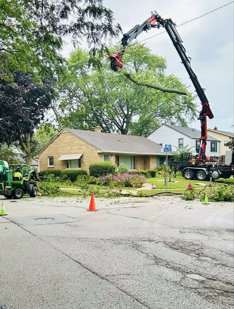 Professional landscaping services for year-round maintenance across Milwaukee, WI - Forester Tree Service