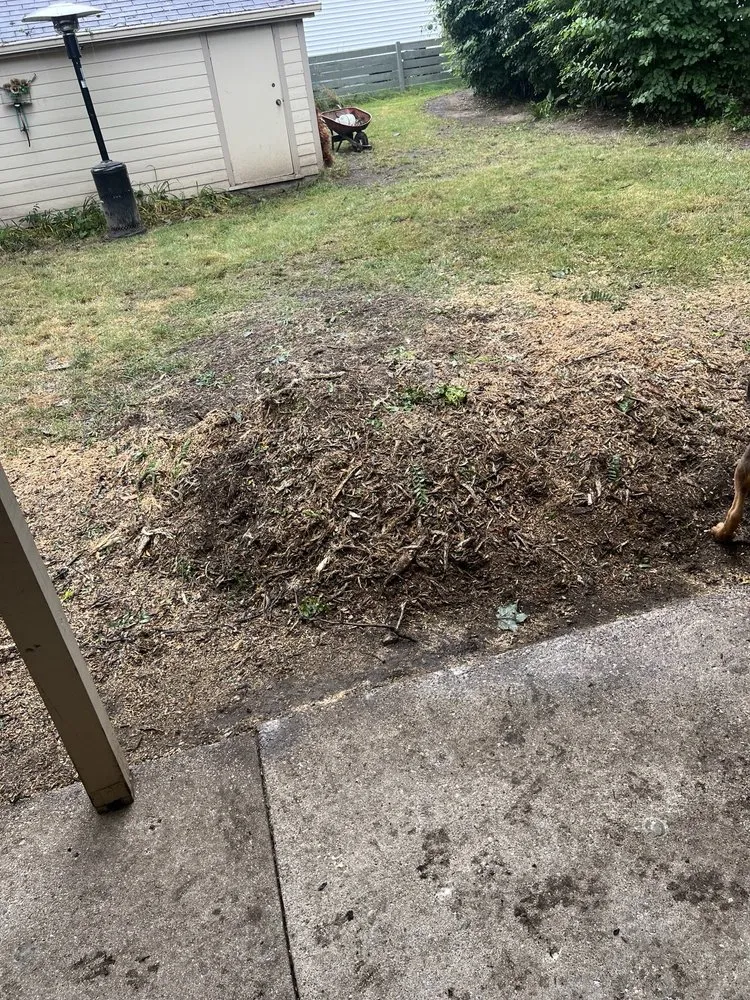 Local landscaping services in Milwaukee, WI by Forester Tree Service