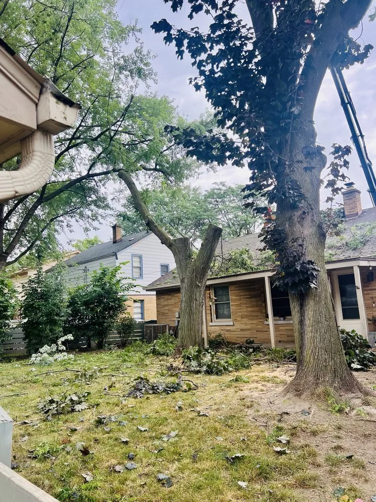 Expert landscape design for year-round maintenance across Milwaukee, WI - Forester Tree Service