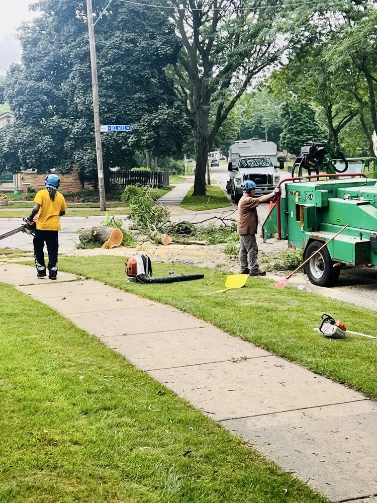 Local residential landscaping in Milwaukee, WI - Forester Tree Service