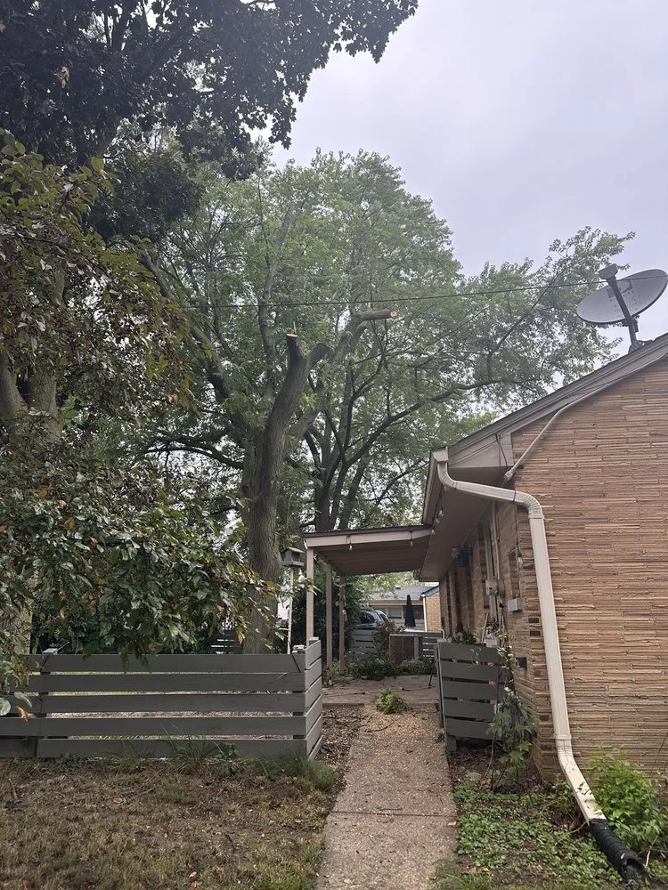 Affordable lawn mowing service for residential properties across Milwaukee, WI - Forester Tree Service