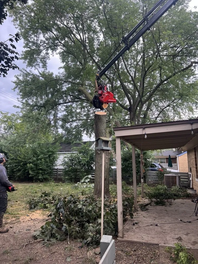 Top-rated outdoor landscaping experts serving Milwaukee, WI - Forester Tree Service