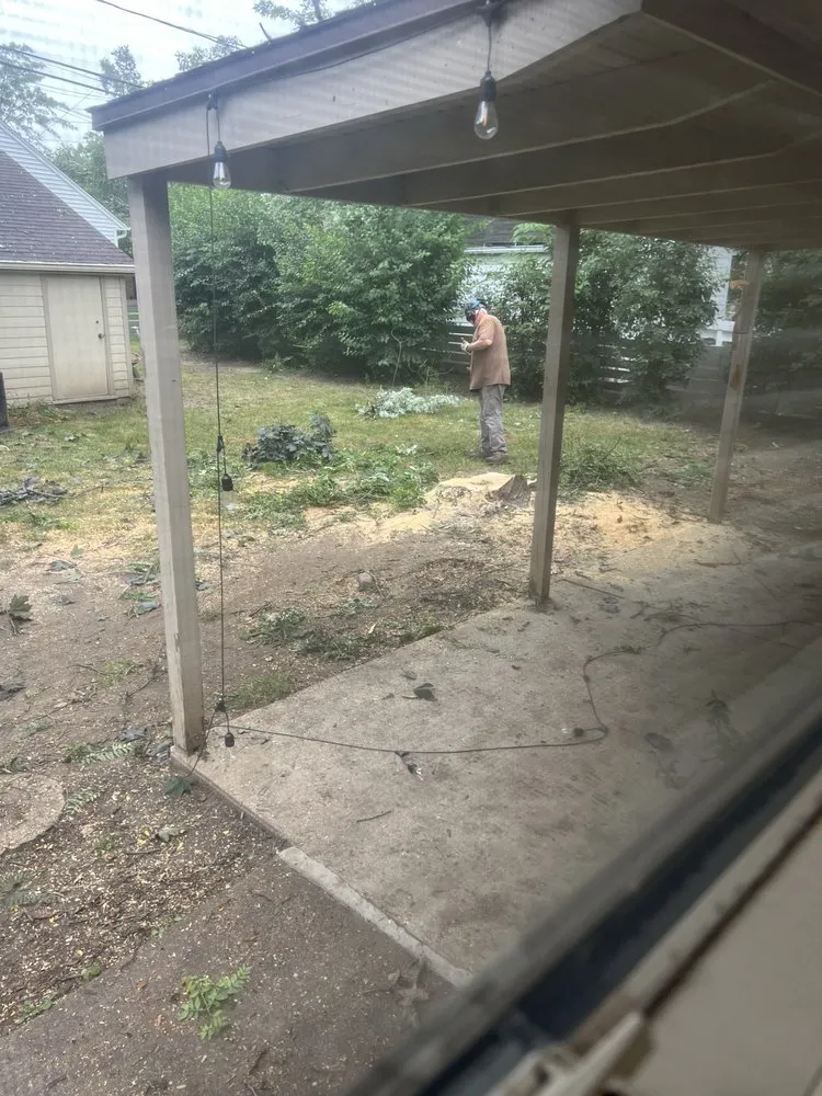 Affordable outdoor landscaping in Milwaukee, WI by Forester Tree Service