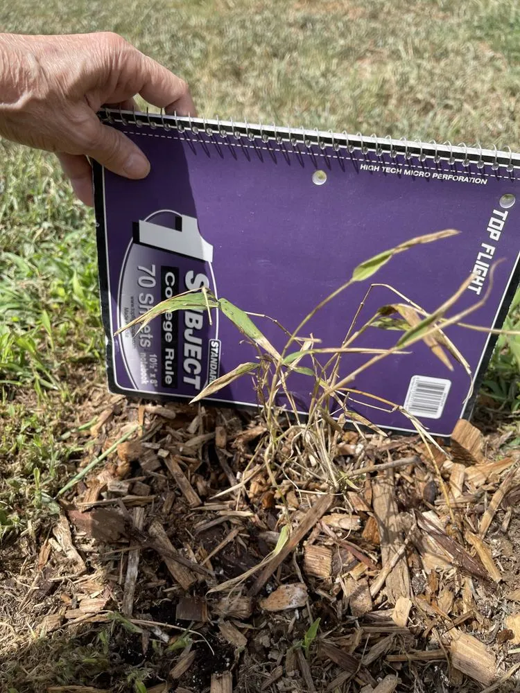 Top-rated landscaping services near you across Williams, OR - Forestfarm at Pacifica