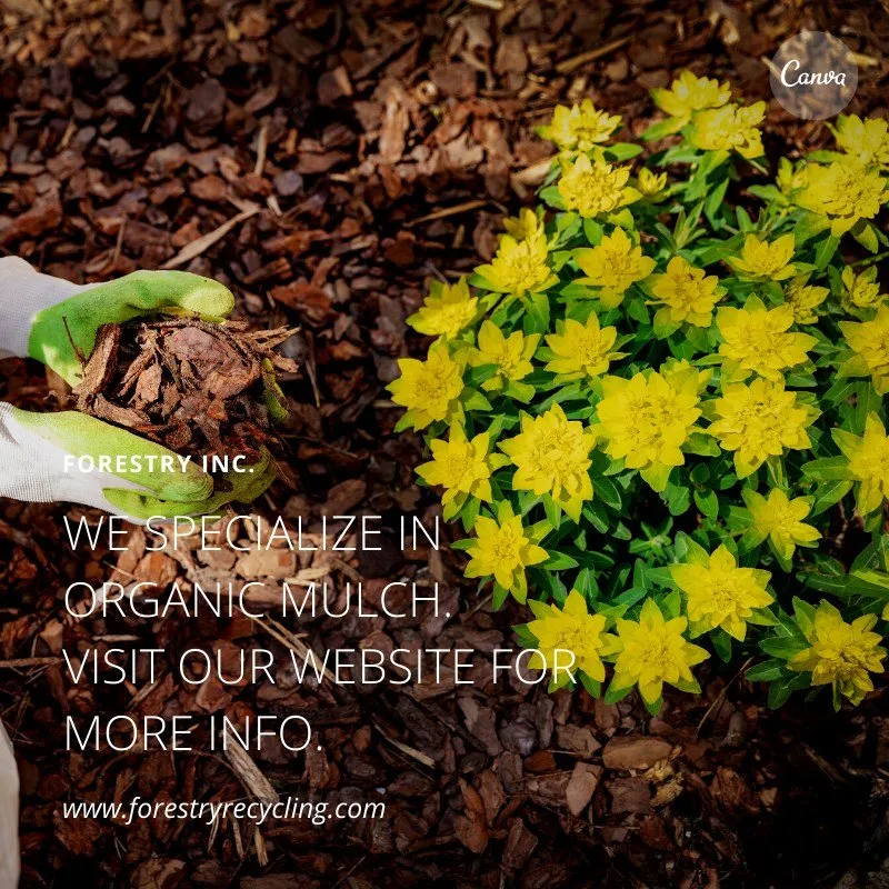 Affordable outdoor landscaping for beautiful yards across Yaphank, NY - Forestry Inc