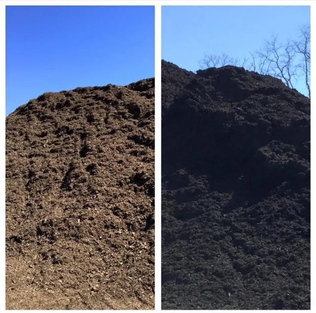 Affordable lawn care service in Yaphank, NY by Forestry Inc