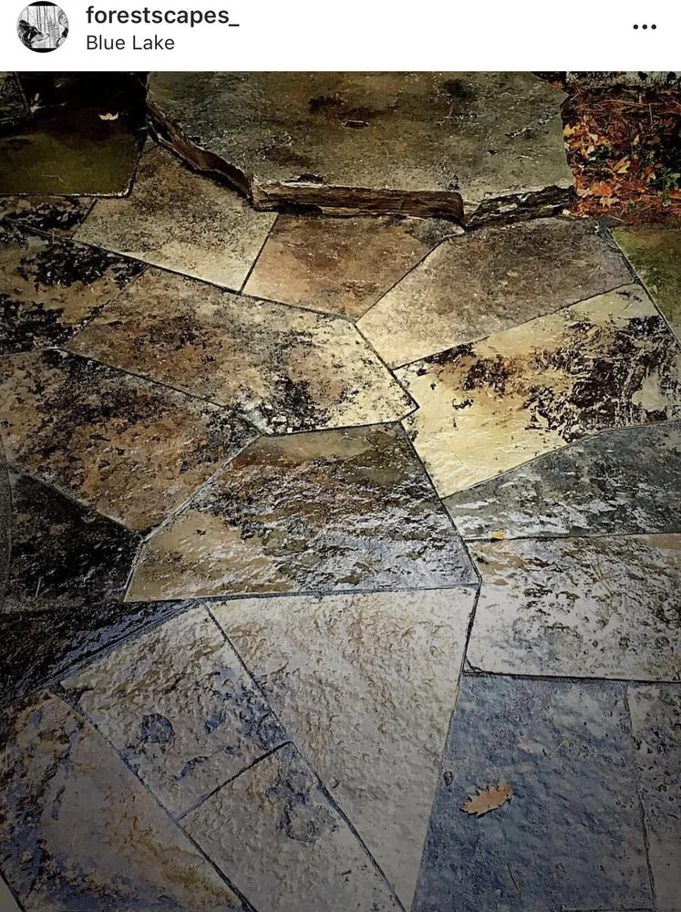 Expert residential landscaping near you in Minocqua, WI by Forestscapes