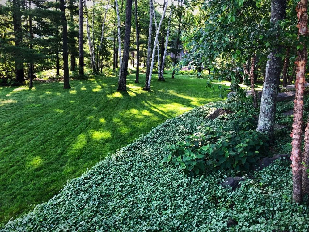 Local residential landscaping for beautiful yards in Minocqua, WI by Forestscapes