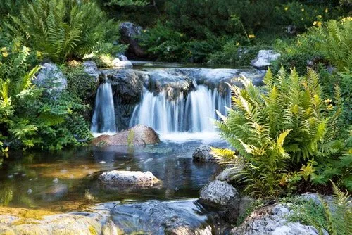 Trusted lawn mowing service in Minocqua, WI by Forestscapes