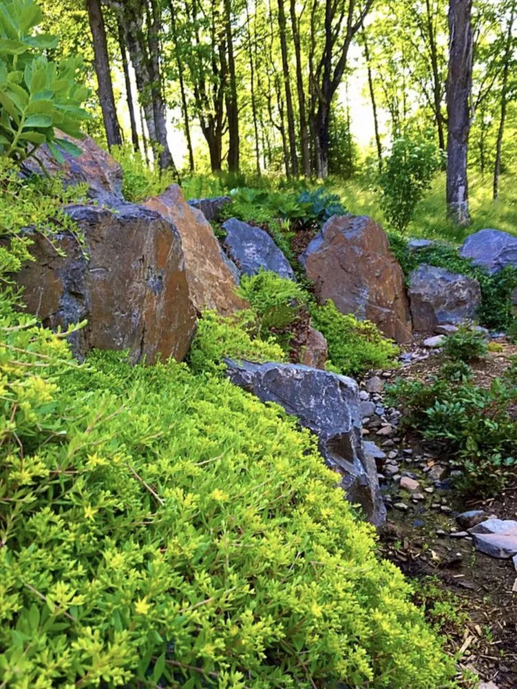 Custom lawn care service in Minocqua, WI by Forestscapes