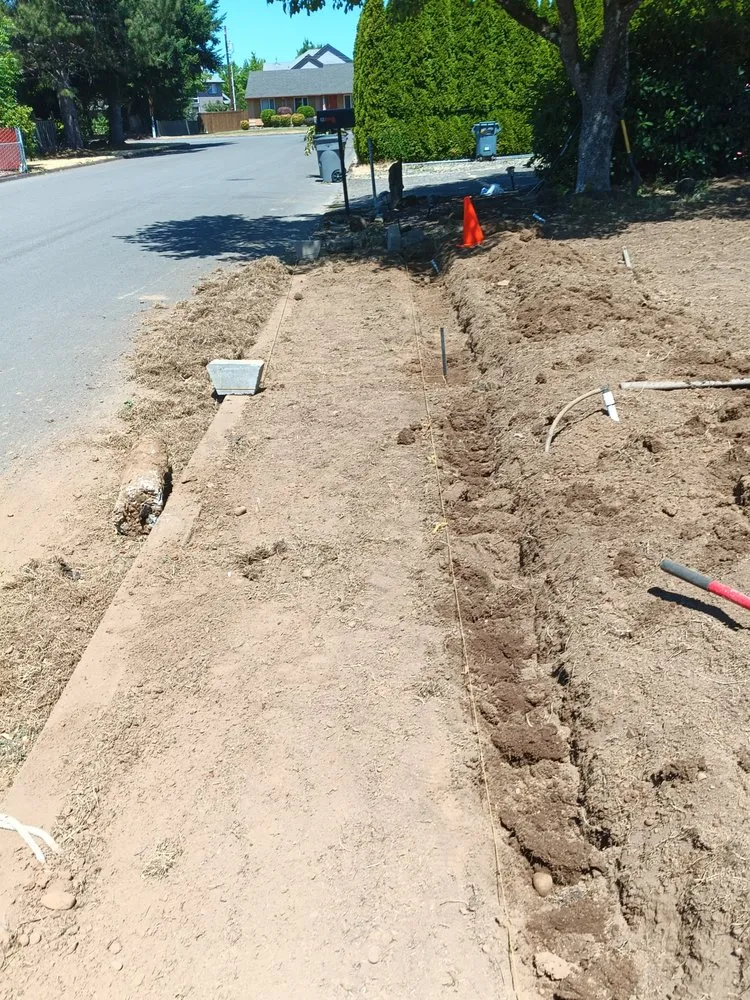 Expert lawn care service for outdoor upgrades across Vancouver, WA - Forever All Natural Landscaping