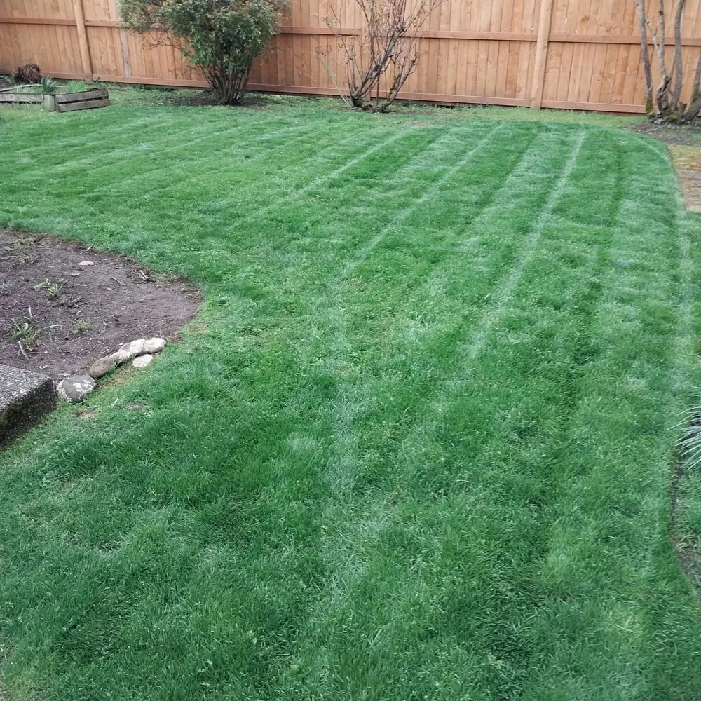 Professional residential landscaping experts serving Vancouver, WA - Forever All Natural Landscaping
