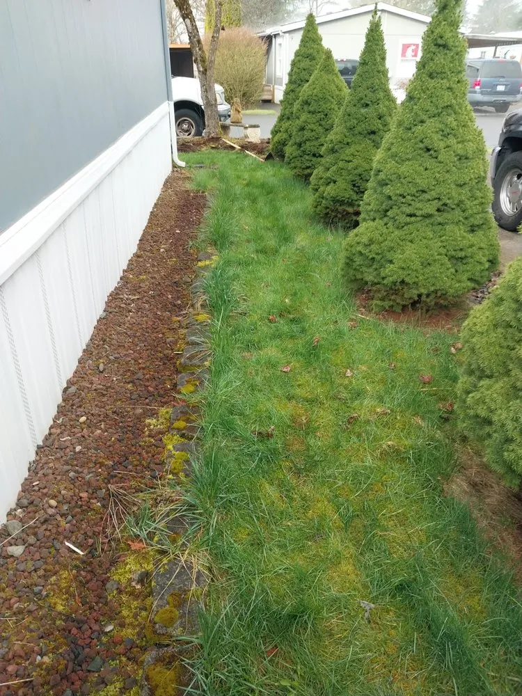 Expert residential landscaping in Vancouver, WA - Forever All Natural Landscaping