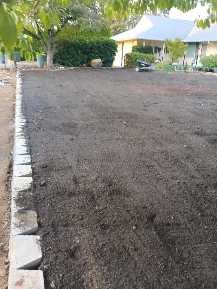 Expert lawn care service for beautiful yards across Vancouver, WA - Forever All Natural Landscaping