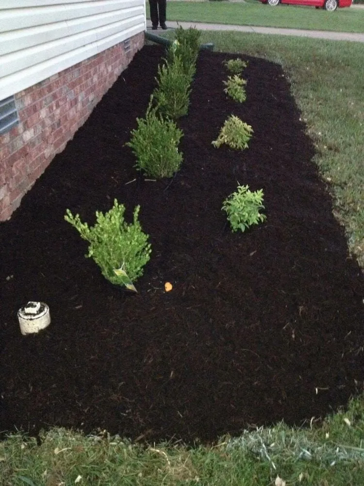 Top-rated lawn mowing service experts serving Clarksville, TN - Forever Beautiful Landscapes