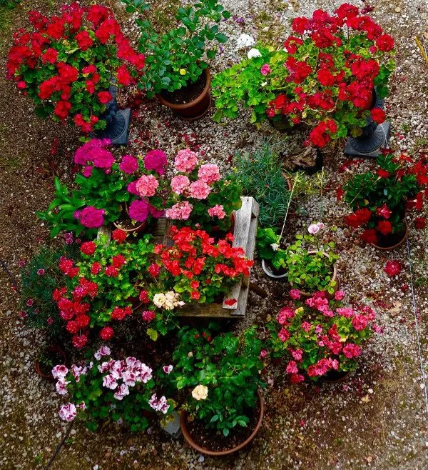 Trusted landscaping services in Philadelphia, PA - Forever Colors